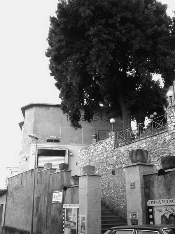 Dettaglio